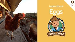 Free-range Eggs with George the Farmer