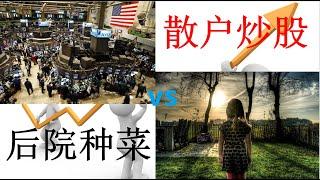 老白的生活 | 散户炒股 VS 后院种菜，都是让老白尴尬的事情！