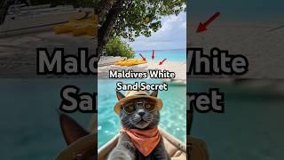 Maldives Best Places on Earth that Don't Feel Real