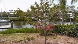 928 Chipaway Dr Apollo Beach FL 33572 Waterfront Tampa Bay Real Estate Videos