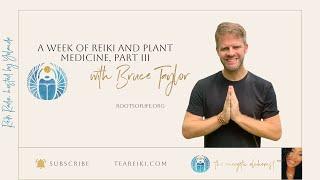 Going Beyond the Surface of Reiki, with Bruce Taylor