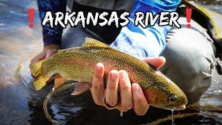 Fly Fishing The Arkansas River - [Colorado]