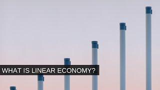 What is a linear economic model?