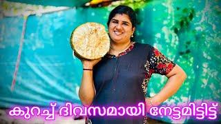 ചക്കയിടാൻ ആളെ കിട്ടിയപ്പോ പിന്നെ ഒന്നും നോക്കിയില്ല മുഴുവൻ വെട്ടിച്ചാടിച്ചു  ആകെ പെട്ടു പോയി 