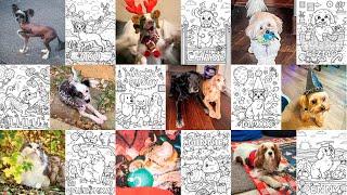 BLISS PETS Coloring Book Flip Through