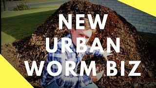 My Urban Vermicompost & Compost Business Start Up Vlog