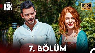 Kiralık Aşk Yeniden 7. Bölüm (4K Ultra HD)