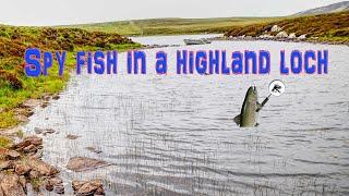 fly fishing in Scotland