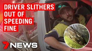 Australian driver escapes speeding fine after being attacked by deadly snake | 7NEWS