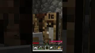 A Minecraft Villager Betrays Me!!