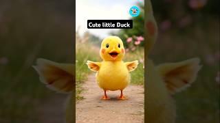 cute little duck  #duck #cute #shorts