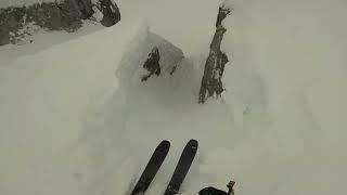 Stormy Pow Day At Whistler