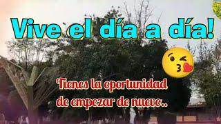Tienes la oportunidad de empezar de nuevo, FRASES DE BUENAS TARDES!