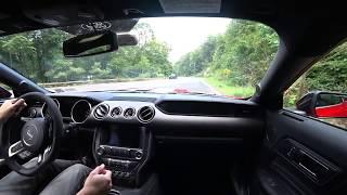 Shelby GT350 Drive "This is Why You Buy This Car" | Auto Fanatic