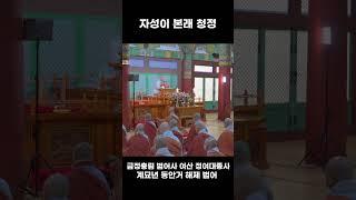 자성이 본래 청정 #정여대종사 #범어사 #동안거