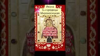 Молись15 мая #богородица #мироносицкая #мир #благодарю #спаси #сохрани #любовь #радость