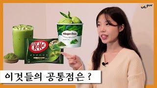 말차 말차 하는데 말차가 뭐야? (feat. 녹차와의 차이점?)