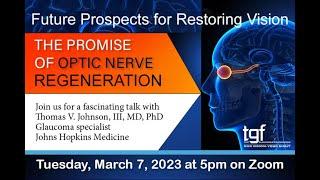 Prospects for Restoring Vision in Patients with Glaucoma: The Promise of Optic Nerve Regeneration