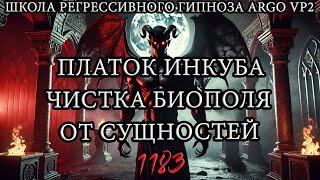 Инкуб | Проверка биополя через 6 месяцев после чистки | @ARGOVP2