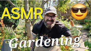 ASMR Gardening | Clearing the Wildlife Area | Dave's Allotment Garden