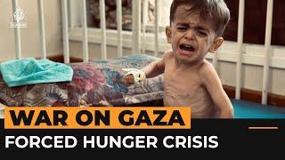 Extent of forced hunger crisis in Gaza revealed in UN report | Al Jazeera Newsfeed