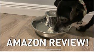 Big Max Drinking Fountain by Pioneer Pet! / Amazon Review!