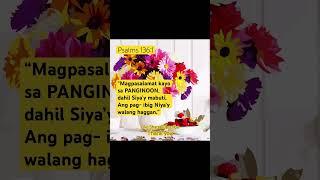 GIVE THANKS TO THE LORD—HIS GRACE, MERCY AND LOVE NEVER END #Godisgood #shorts #trending #short