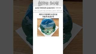 실시간 어메이징한 금손들 레전드 ㅋㅋㅋㅋ