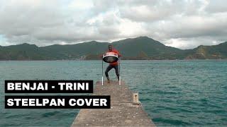 Benjai - Trini Steelpan Cover by Joshua Regrello