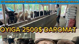 UY SHAROITIDA HUNAJIN YEMLASH SIRLARI 2500$ DAROMAD