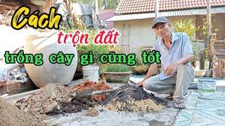 Cách trộn đất, trồng cây gì cũng tốt|@anhbayxunau