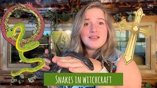 What snakes mean in witchcraft (and how to work with them)