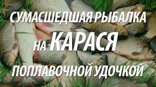 СОВЕТЫ РЫБАКАМ ПО ЛОВЛЕ КАРАСЯ. РЫБАЛКА НА КАРАСЯ ПОПЛАВОЧНОЙ УДОЧКОЙ