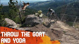 Throw the Goat / Yoda @christchurchPrk