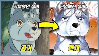 곰과 싸우는 개들의 이야기 【명견 실버】에 관한 55가지 TMI