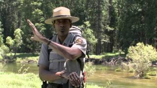 Easy Yosemite Valley Day Hikes