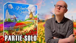 WINDMILL VALLEY - L'eurogame accessible ! - Partie SOLO & AVIS