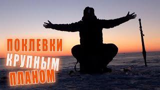 Февральская ПЛОТВА не дает скучать. Ловля Плотвы на игру и на грузовки! Час рыбалки и рыбы валом!