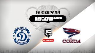 Динамо (Санкт-Петербург) - Сокол (Красноярск)
