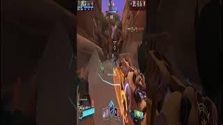 When you use 100% of your brain in paladins
