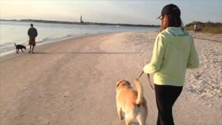 Smyrna Dunes Dog Park⎮New Smyrna Beach, FL⎮2014