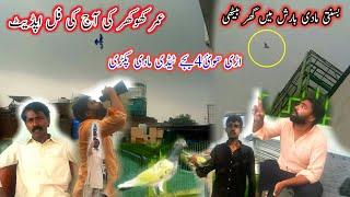 umar Khokhar ki aj Ki Full Update | Pola G Pigeon Club || Pigeon Training