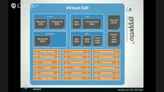 Collaborative Bottom-up Modeling in Computational Biomedicine