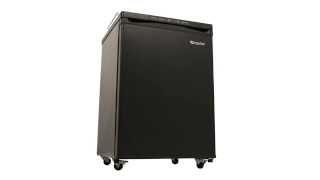 Full Size Kegerator Conversion Refrigerator- BR3000BL