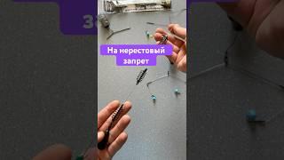 Снасть для рыбалки в нерестовый запрет / рыболовная снасть на карася