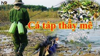 2 Ngày câu bãi câu đẹp cá táp thấy mê đêm kiếm được mồi ngon cùng bạn hiền