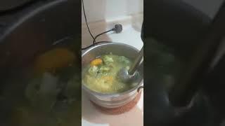 VEGETABLE Soup ( homemade )