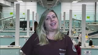 Depoimento Rafaela Lazari Bassam Pós Graduação Especialização ENDODONTIA FFO USP  ESP 603