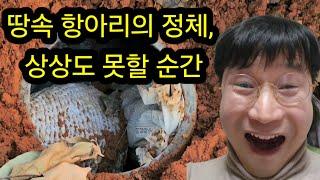 땅속 항아리의 정체 상상도 못할 순간 #금속탐지기 #보물찾기 #탐험 #탐사 #metal #metaldetecting #취미생활 #운동선수