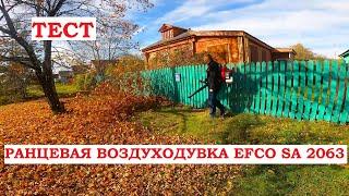 Тест ранцевой воздуходувки Efco SA 2063